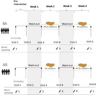 Development of celiac-safe foods: prevention of transglutaminase 2 (TG2) deamidation of gluten in healthy non-celiac volunteers